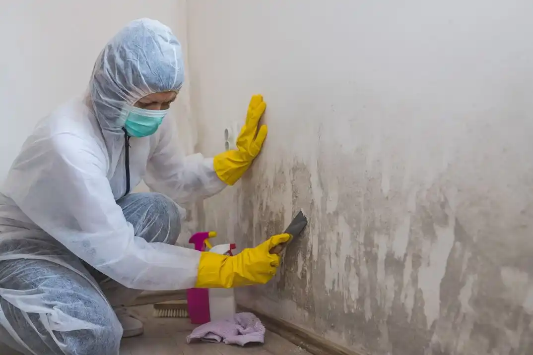 water damage restoration service La Joya